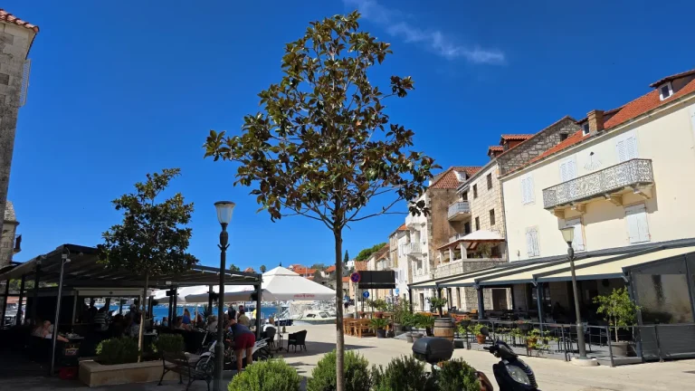Milna old town